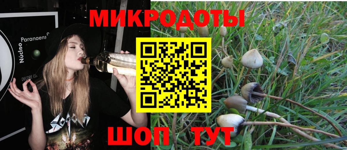 Псилоцибиновые грибы ЛСД  Вход с VPN  Псилоцибиновые грибы GOLDEN TEACHER  Зима 