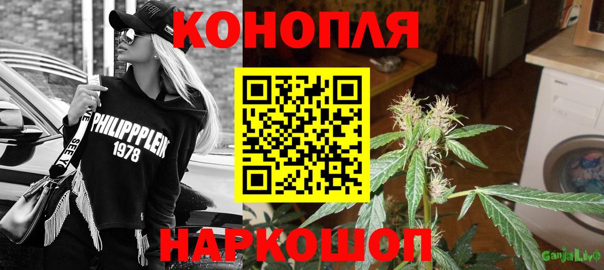 Бошки Шишки конопля  Конопля сатива  Вход с VPN  Зима 